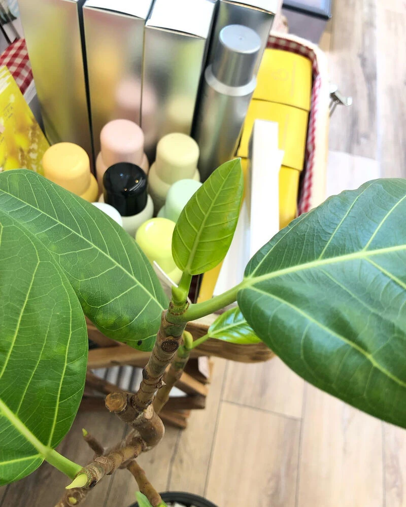 ブログ