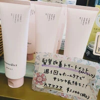 ブログ